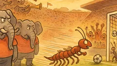 Barzelletta: Elefanti contro formiche, partita assurda